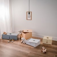 Multifunctional boxes