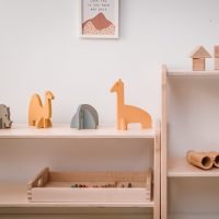 toys and tray on a shelf