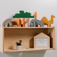 Double box shelve with accessories