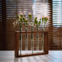 Test tube flower stand in NUT