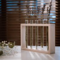 Test tube flower stand in WHITE