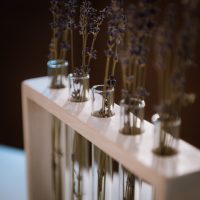 Test tube flower stand in WHITE close up