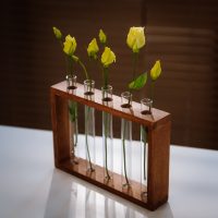 Test tube flower stand in NUT from above