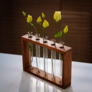 Test tube flower stand in NUT from above