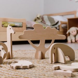 Montessori Toys