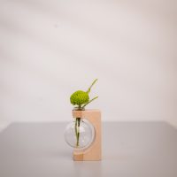 Test tube vase set in Natural SMALL