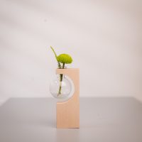Test tube vase set in Natural MEDIUM